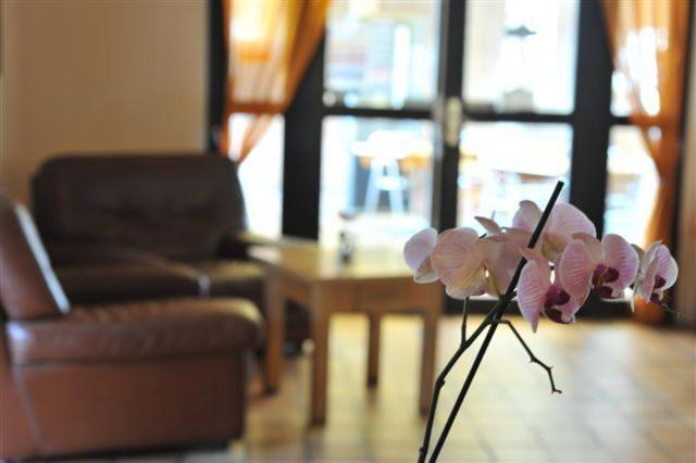 Sure Hotel By Best Western Mougins Belvedere Exteriér fotografie